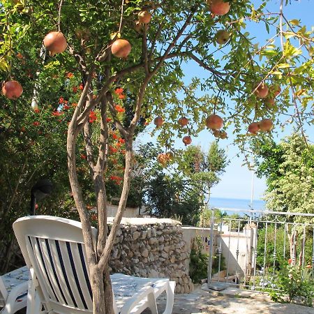 Casa Margherita ปาร์เกลียา ภายนอก รูปภาพ